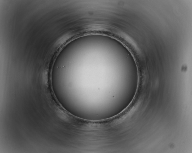 X0000103400777200809121241