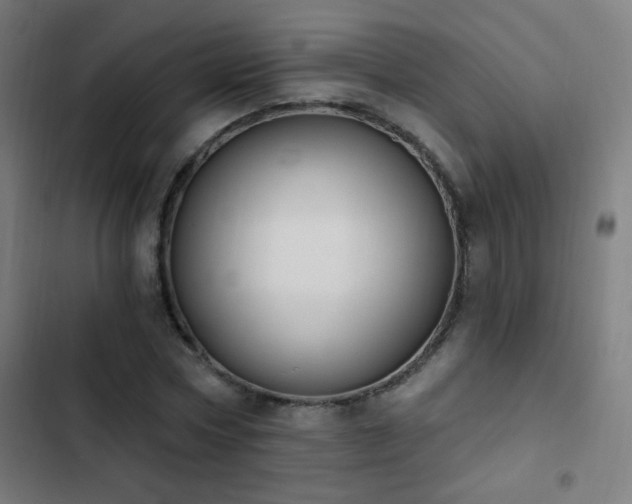 X0000103400778200809121241