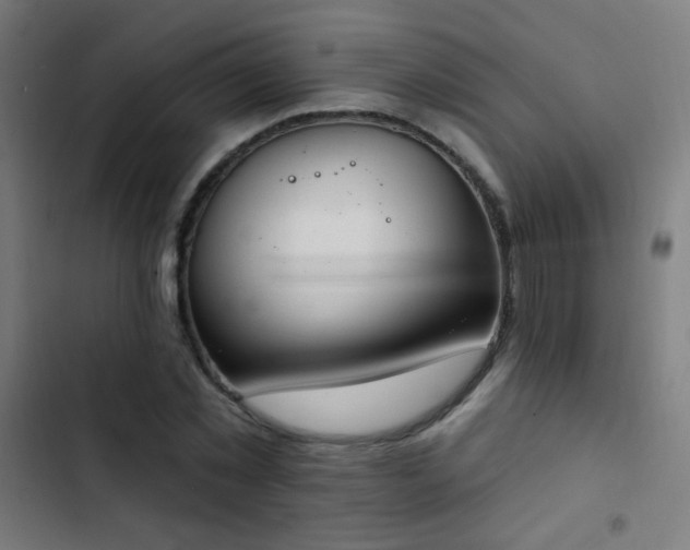 X0000103400781200809121241