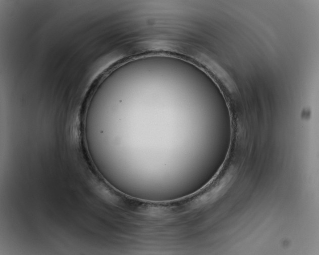 X0000103400782200809121241