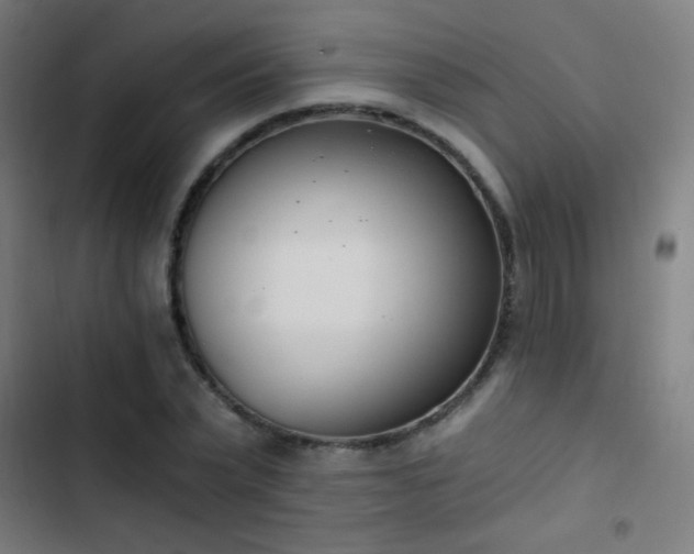 X0000103400783200809121241