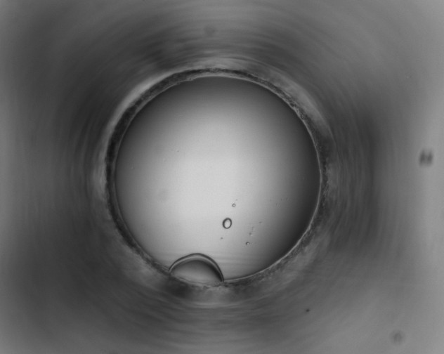 X0000103400784200809121241