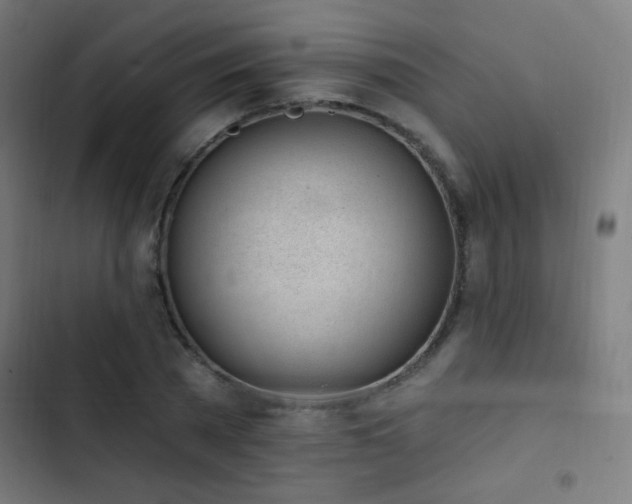 X0000103400785200809121241