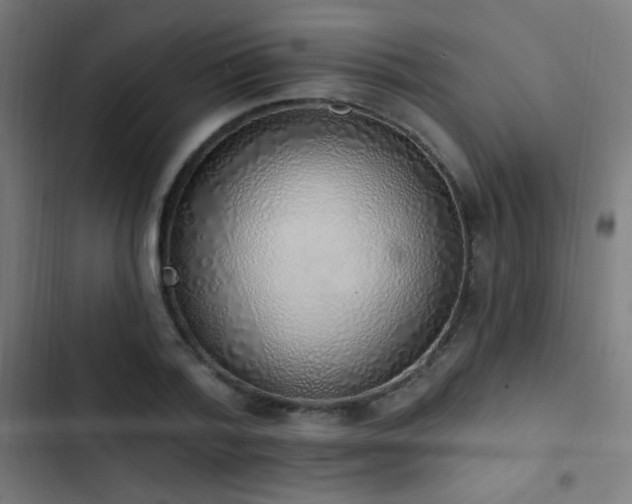 X0000103400788200809121241