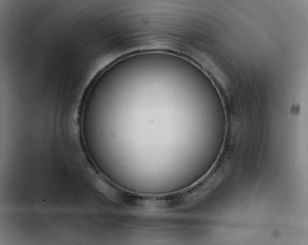 X0000103400789200809121241