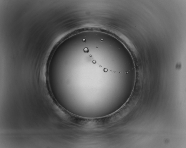 X0000103400791200809121241