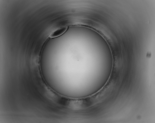 X0000103400793200809121241