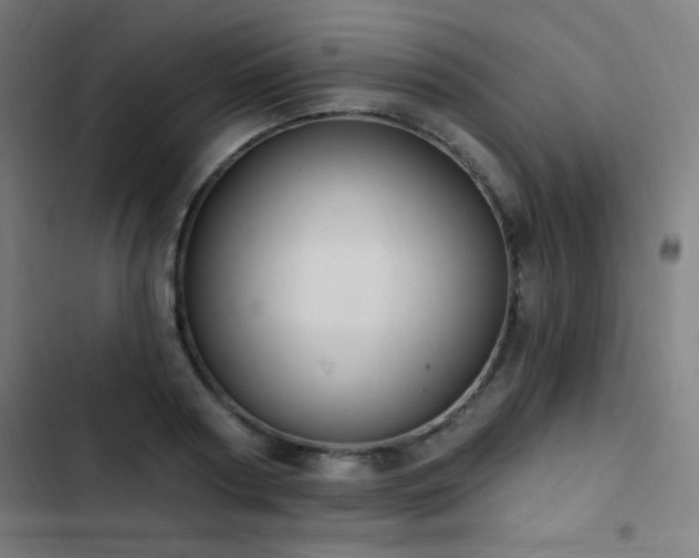 X0000103400794200809121241