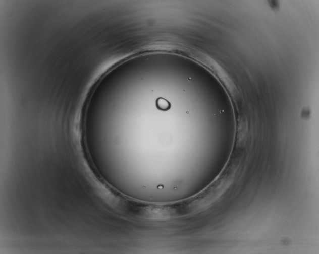 X0000103400795200809121241