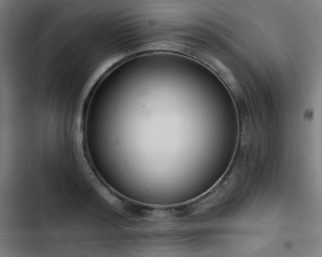 X0000103400796200809121241