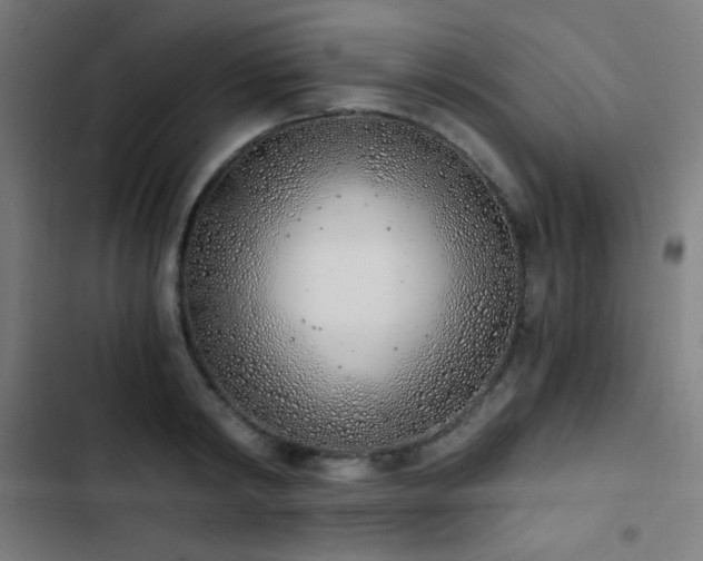 X0000103400798200809121241