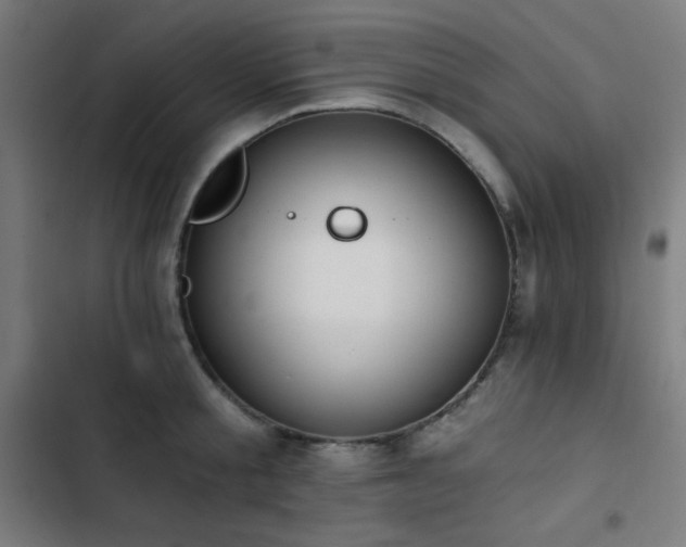 X0000103400805200809121241