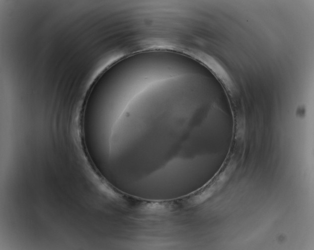 X0000103400806200809121241