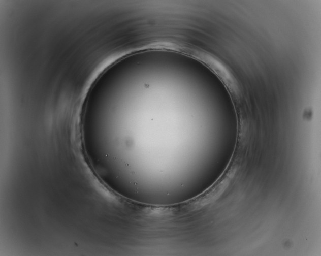 X0000103400808200809121241