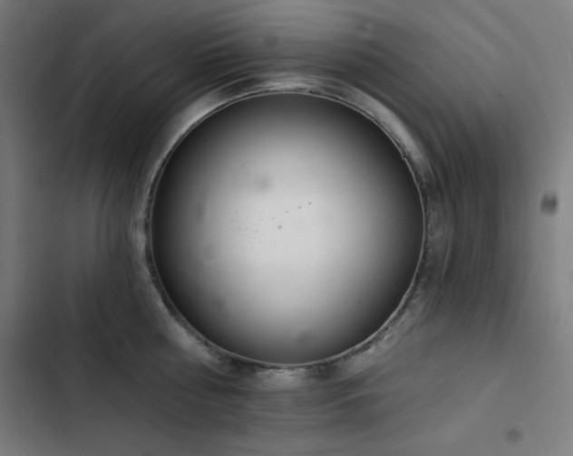 X0000103400810200809121241