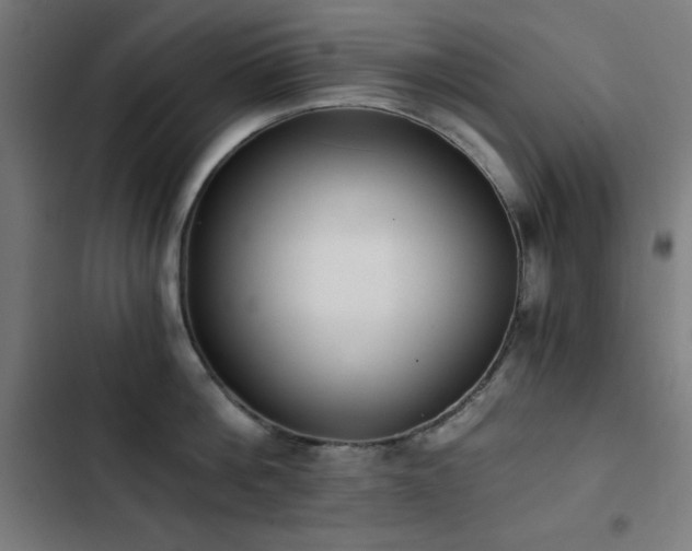 X0000103400812200809121241