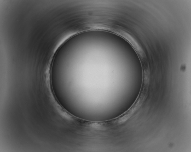 X0000103400814200809121241