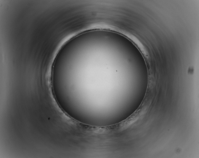 X0000103400815200809121241