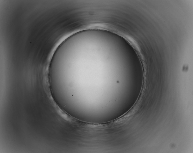 X0000103400816200809121241