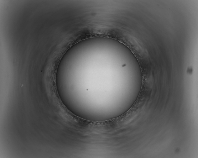 X0000103400817200809121240