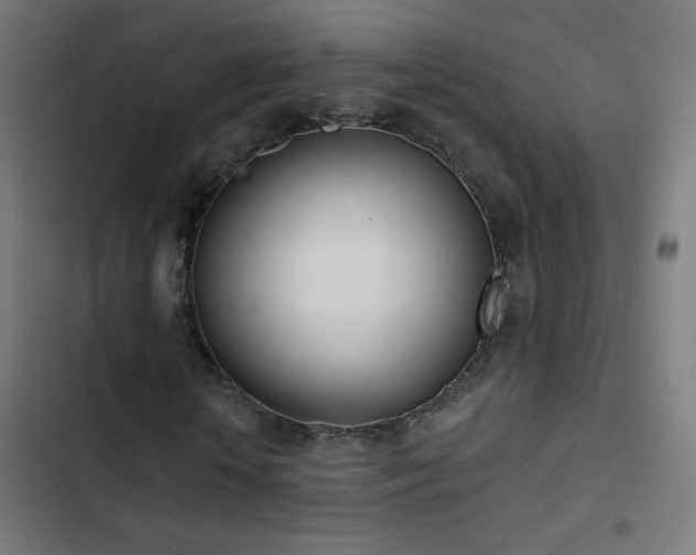 X0000103400818200809121240