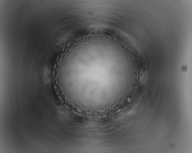 X0000103400819200809121240