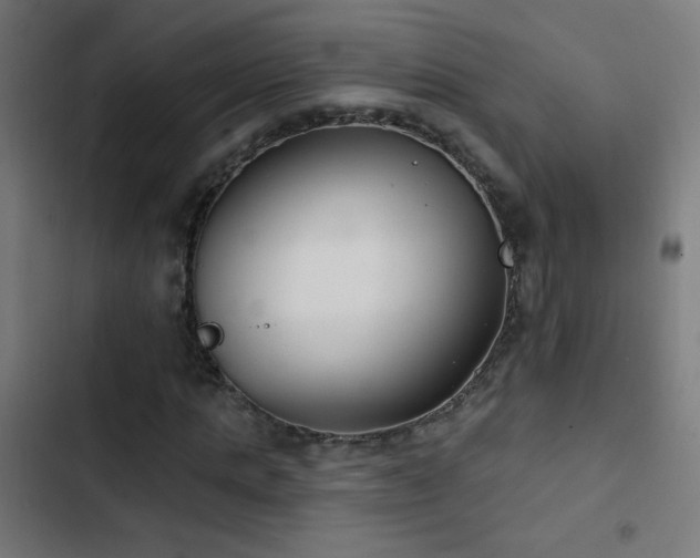 X0000103400821200809121240