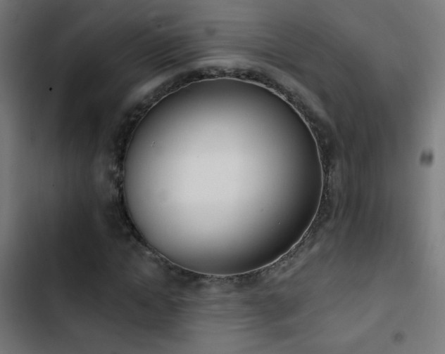 X0000103400822200809121240