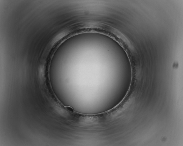 X0000103400826200809121240