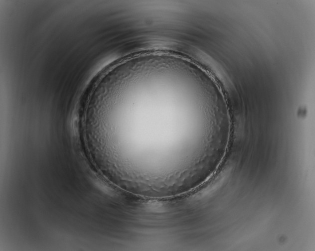 X0000103400827200809121240