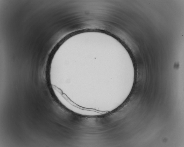 X0000103400828200809121240