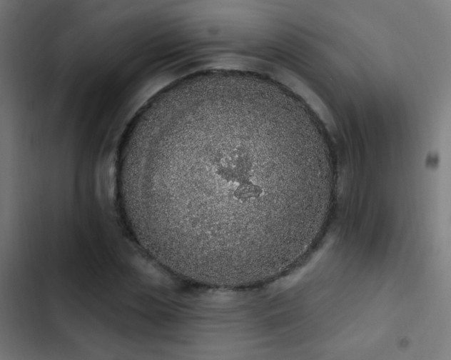 X0000103400829200809121240