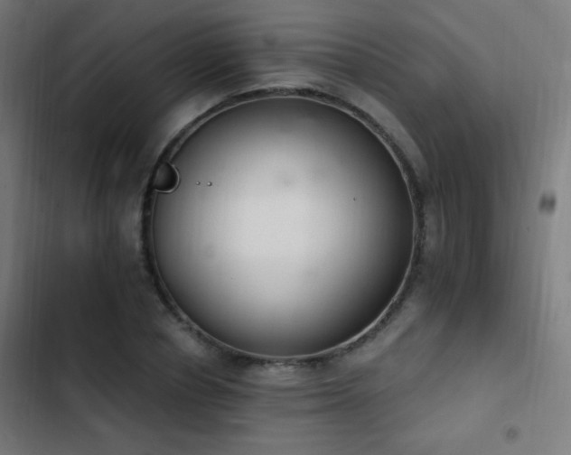 X0000103400834200809121240