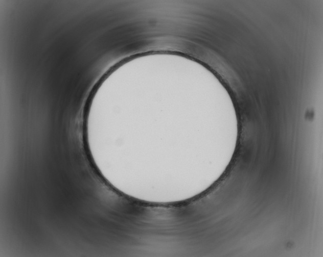 X0000103400836200809121240