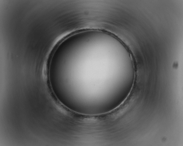 X0000103400838200809121240