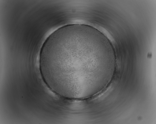 X0000103400839200809121240