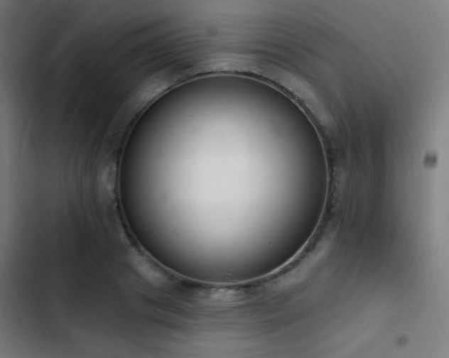 X0000103400841200809121240