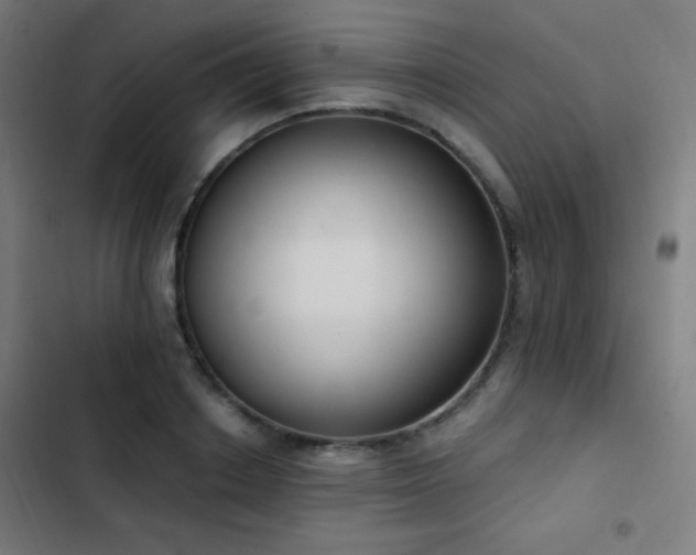 X0000103400842200809121240