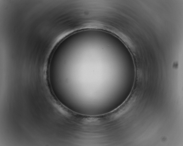X0000103400846200809121240