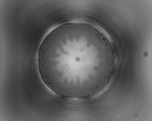 X0000103400855200809121240