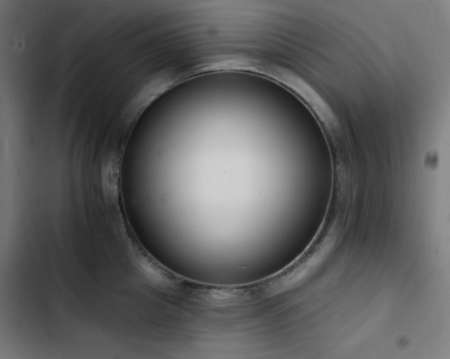 X0000103400857200809121240