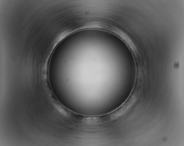 X0000103400858200809121240