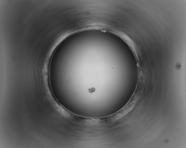 X0000103400859200809121240
