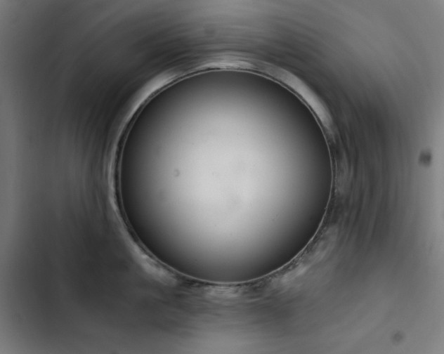 X0000103400861200809121240