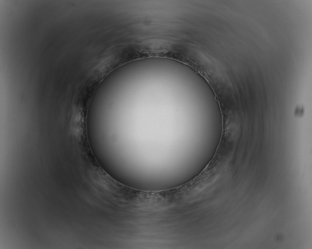 X0000103400866200809121240