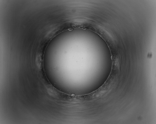 X0000103400868200809121240