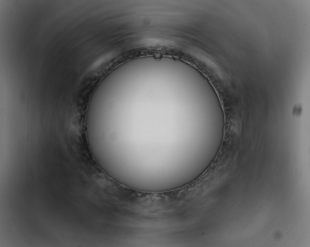 X0000103400869200809121240