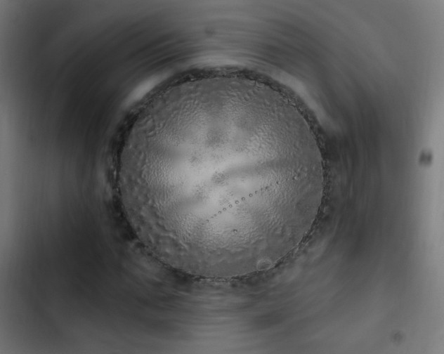 X0000103400871200809121240
