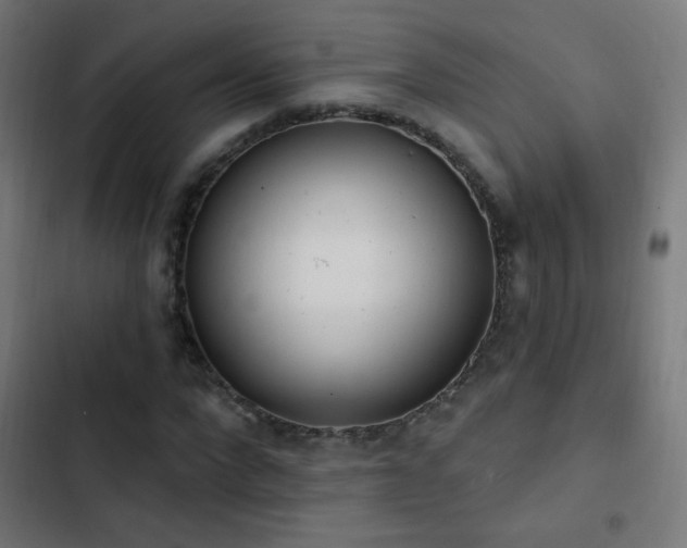 X0000103400872200809121240