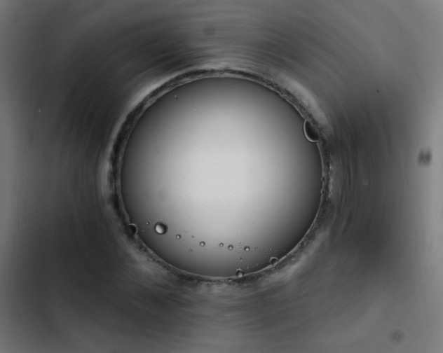 X0000103400876200809121240